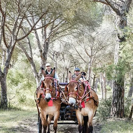 Aldea Chica Holiday home